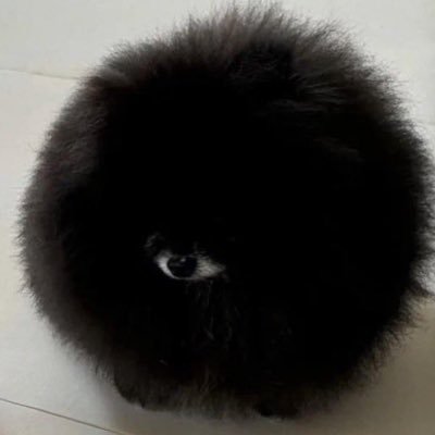 Jyeniosatake's profile picture. 