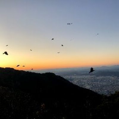 sIIYwWQyxg64034's profile picture. 