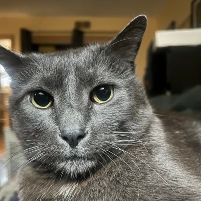 jimmyspreckels's profile picture. 