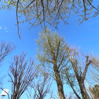 OyM8JSyCvh's profile picture. 