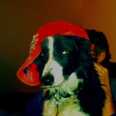 remiels doing betterさんのプロフィール画像