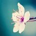 ▬كؤبؤن▬كود▬خصم▬🌍🫂 (@tacke76540) Twitter profile photo ▬كؤبؤن▬كود▬خصم▬🌍🫂 (@tacke76540) Twitter profile photo
