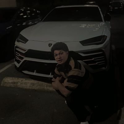 immarlonflores's profile picture. 🇸🇻/🇭🇳 / Aspiring Combat Sports Analyst