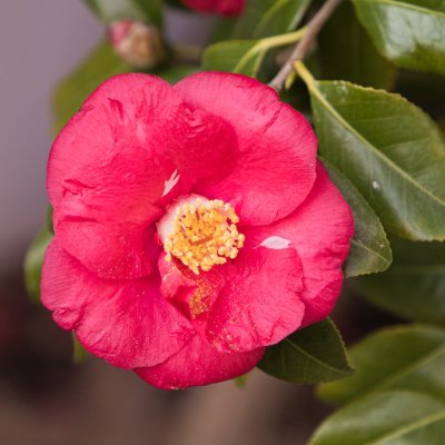 kimms5940's profile picture. 