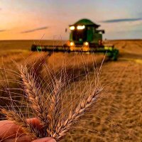 Agro Analytics (@agroanalytics_) 's Twitter Profile