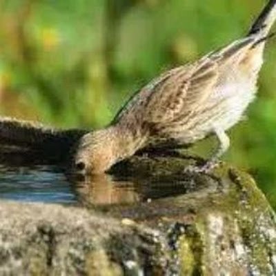 MohammadMu7225's profile picture. 