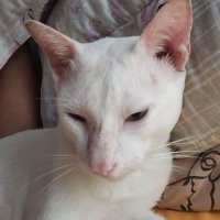 jlaysdump (@ejmbdump) 's Twitter Profile