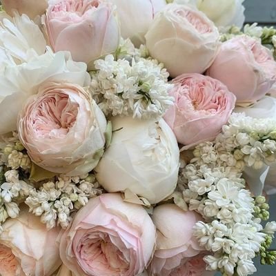 lexaaa792's profile picture. just a girl & her secret account 😚🤍