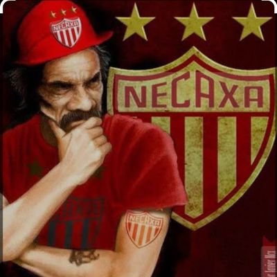 Saulodomi's profile picture. 