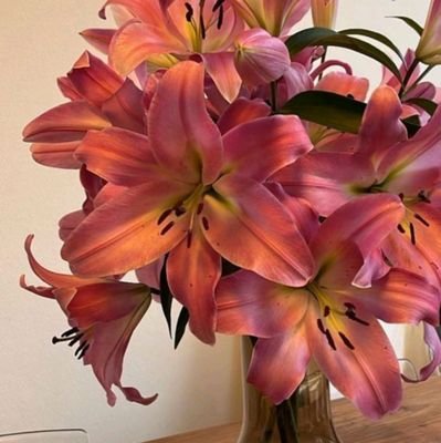 sseamg's profile picture. 