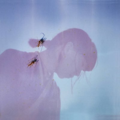 6claims's profile picture. main support @5jitsonthegame