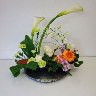 VkAUhb1rMz34475's profile picture. 福岡在住、息子2人孫1人、
70歳の大台になりました。
趣味は、麻雀・🎳・フラワーアレンジメント・プール・カラオケ。DMは苦手です。