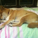 Winter Foster - @WinterFoster - Twitter