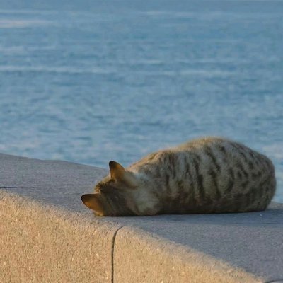 fs39518's profile picture. 