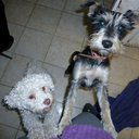 Ann Navarrete - @AnnNavarreteG - Twitter