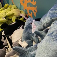 jubjib ྀི (@aubreymarkie) 's Twitter Profile