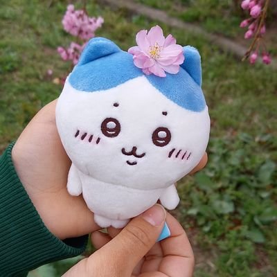 りうさんのプロフィール画像