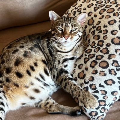 loriRstad's profile picture. 