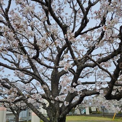 miona7070's profile picture. 成人済。ジャンル雑多な情報収集ROM専垢。
プライベート日常生活とリハビリ闘病療養の備忘録。フォロバは知人のみ🙇⤵️