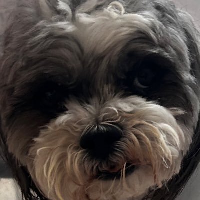 abe121200's profile picture. uhm hi?