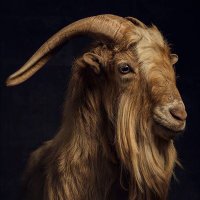 π (@hhimselfff) 's Twitter Profile