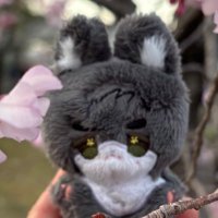 o47はおしな (@mimav1962) 's Twitter Profile Photo