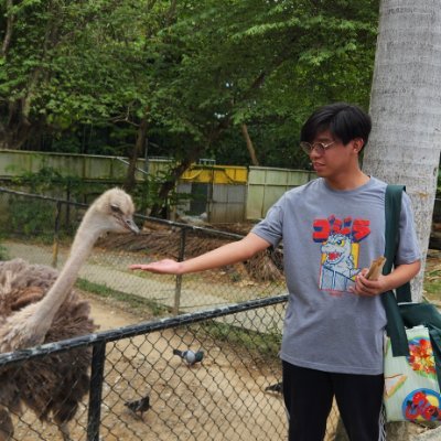 I like kaiju, dinosaurs, birds and reptiles