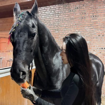 BunJnqho's profile picture. In every beat of the hooves, I hear the drum of my soul, galloping toward where my heart leads.