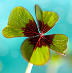 Debits's profile picture. Writer, Marketer, Event Planner, Mom to 4 YAs