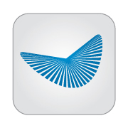 Blue Bug Digital (@BlueBugDigital) / Posts / X