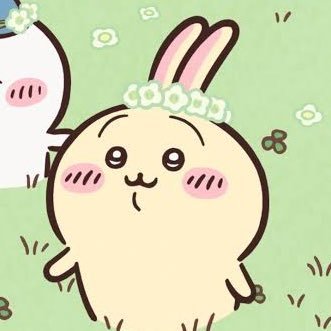 chichinpuni's profile picture. 