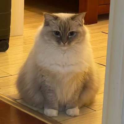 JiazhangF46812's profile picture. 