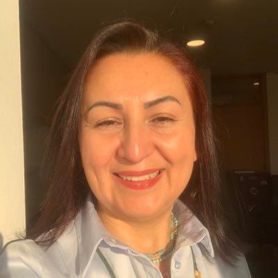 bilginozkan1's profile picture. civil servant