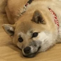 ちゃちゃ (@s2__chacha) 's Twitter Profile