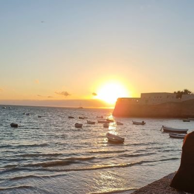 JoanetSalvado's profile picture. Cambrer, sommelier i professor