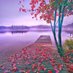 Nature Beauty (@naturebeau71334) Twitter profile photo Nature Beauty (@naturebeau71334) Twitter profile photo