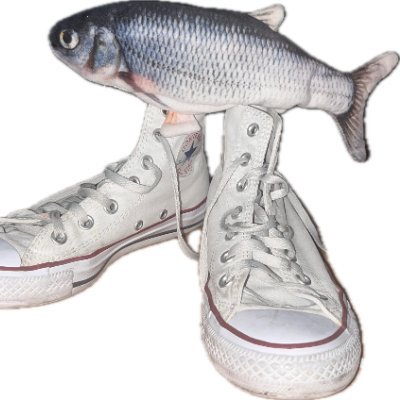🐟さんのプロフィール画像