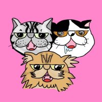 小判🐾 (@nyaaws) 's Twitter Profile