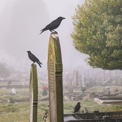 Ryo369_'s profile picture. 