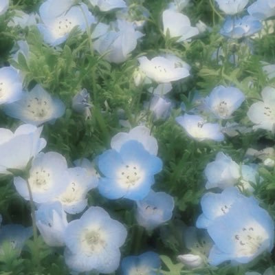 s62_301's profile picture. 20⤴高卒、成人済み／ 無言フォロー失礼致します🙇‍♀️