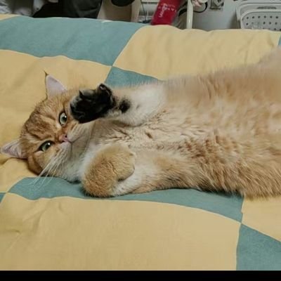 Sunny1785423's profile picture. Computer Science