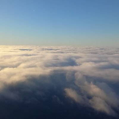 mangalingus's profile picture. Yeah 😊