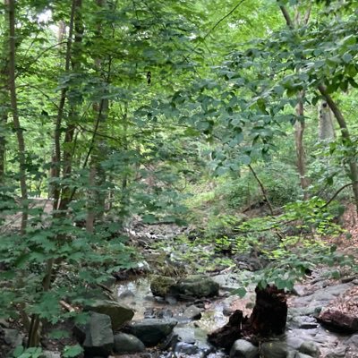 BobGroozen20127's profile picture. 