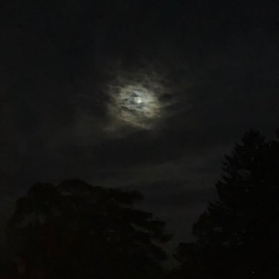 ADOLBE1's profile picture. Follow for the best desi content on X | brown girls 🤤 always buying content and looking for meets hmu!