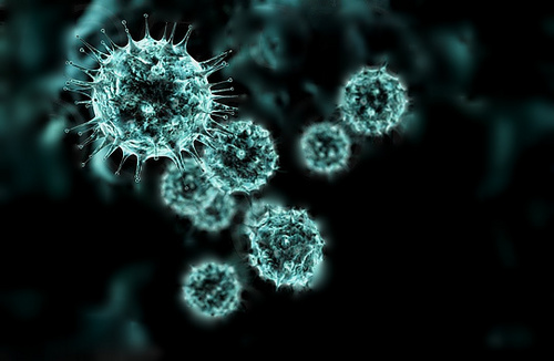 ozono71's profile picture. 