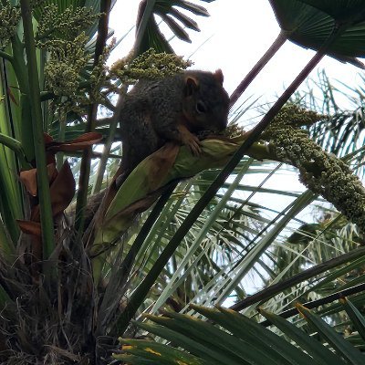 10AjninNinja01's profile picture. Game all day or game all night.
2 cycle crypto veteran.
Buy the DIP