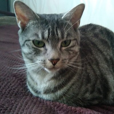 Richikun92's profile picture. 