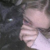 Catherine (@catheri36165641) 's Twitter Profile