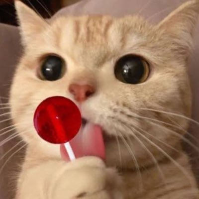 =^•ﻌ•^= ยังขายฟิคอยู่คั้บบさんのプロフィール画像