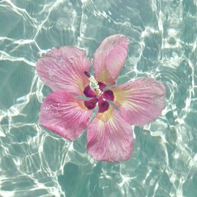 _ryoma24's profile picture. 